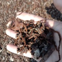 【山东聊城】出售碎铁颗粒几百块钱一吨，2车货，全部上磁