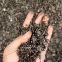 【重庆】出售球磨小碎铁
