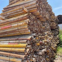 【陕西西安】出售定尺1.2m12000根