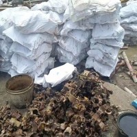 【江苏无锡】出售十字扣件几挂，1.6斤以上