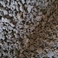 【河北唐山】出售7.6干打铁豆遛500