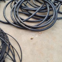 【福建泉州】出售4*150低压铜电线，整卷