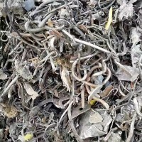【河北唐山】出售铁丝头，带点塑料