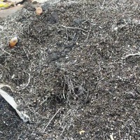 【福建厦门】求购铁销 油削