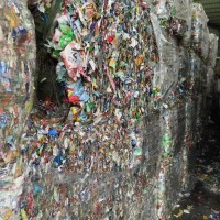【福建泉州】出售商标纸每个月600吨左右