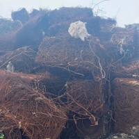 【浙江宁波】出售废钢筋