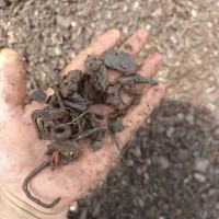 【广东湛江】出售小碎铁
