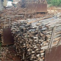 【福建】求购钢筋段20-25