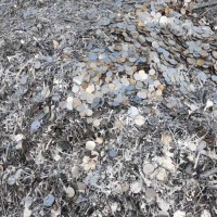 【福建】求购冷轧冲子，不分厚度