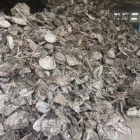【广东惠州】出售手捡大盒子