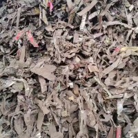【广东】出售汽车壳撕碎料