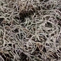 【河南】出售破碎铁丝头
