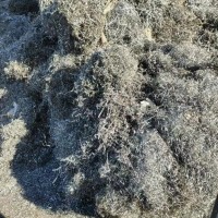 【福建】求购钢刨花