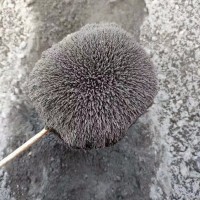 【江苏徐州】出售上磁粗粉