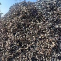 【山东临沂】出售火烧喇叭