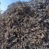 【山东临沂】出售火烧喇叭