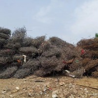 【广西南宁】出售钢筋团