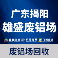 广东揭阳雄盛废铝场回收