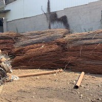 【福建漳州】出售100多吨硬钢筋
