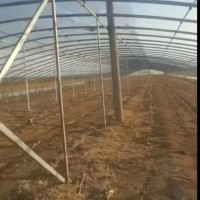 【山东临沂】出售拱棚，135米 宽18米
