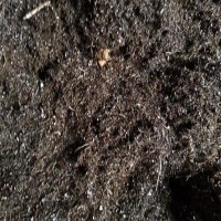 【浙江湖州】出售碎铁刨花500吨
