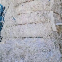 【山东枣庄】出售pet