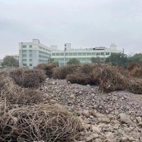 【安徽】求购钢筋包