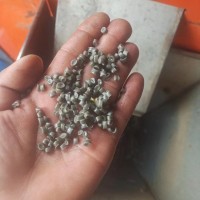 【江苏苏州】求购高压二级膜白