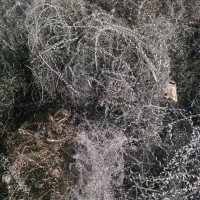 【湖北鄂州】求购原厂碎铁销，泡花，钢销