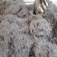 【福建福州】采购铁干刨花，量大加价