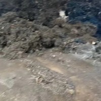 【安徽合肥】出售铁销