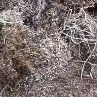【广西梧州】求购各种废铜烂铁不锈钢