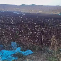 【河北】出售六米架子管