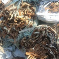 【浙江湖州】出售步步紧，卡子