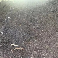 【江苏苏州】出售纯碎铁削