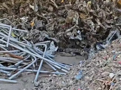 【福建宁德】出售废钢破碎图1
