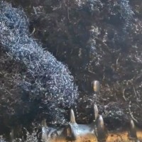【江苏苏州昆山】出售一台刨花粉碎机