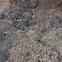 【河北邢台】出售原厂的锯削，铁销一车货