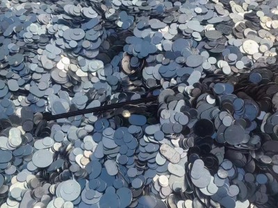 【河北衡水】出售镀锌豆图2