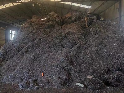 【河南安阳】出售铁屑现货600吨图2