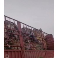 【重庆梁平】大量求购杂纸包