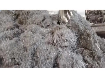 【福建泉州】求购200吨纯刨花图2