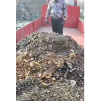 【江苏】出售水洗爆花螺丝头，还有一车货，无杂无粉