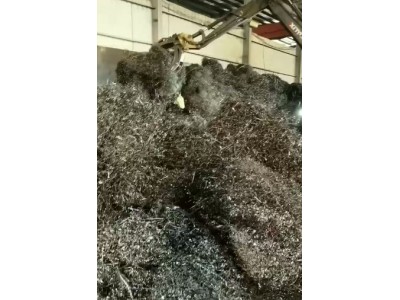 【福建福州】求购纯刨花100吨图1