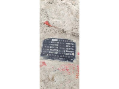 【江西】出售两台正常使用的输送带除铁器图2