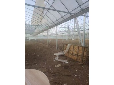 【山东菏泽】出售蔬菜大棚图4