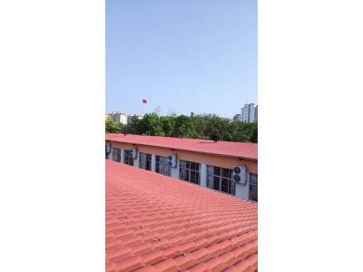 【福建漳州】出售树脂瓦图4