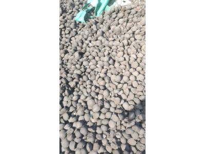 【河南安阳】公司处置一批洗炉锰粉压球，含锰20左右，含铁14-13含硫0、2含磷0、01、5现货2000吨左右图2