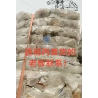 【河北保定】出售透明丙