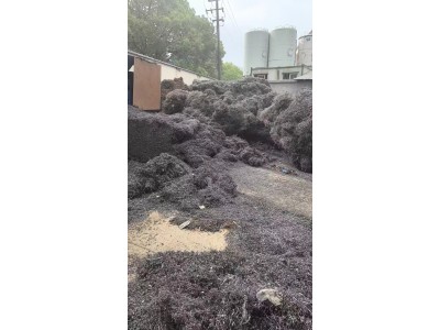 【福建】求购普通刨花